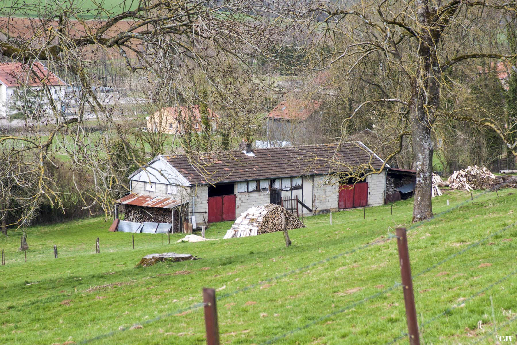 Ligne Maginot - THONNELLE - (Camp de sureté) -  - Lia VERMEULEN