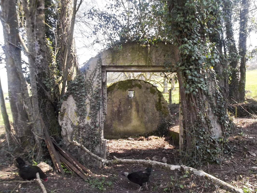Ligne Maginot - THONNELLE - (Camp de sureté) -  - David HARMAND