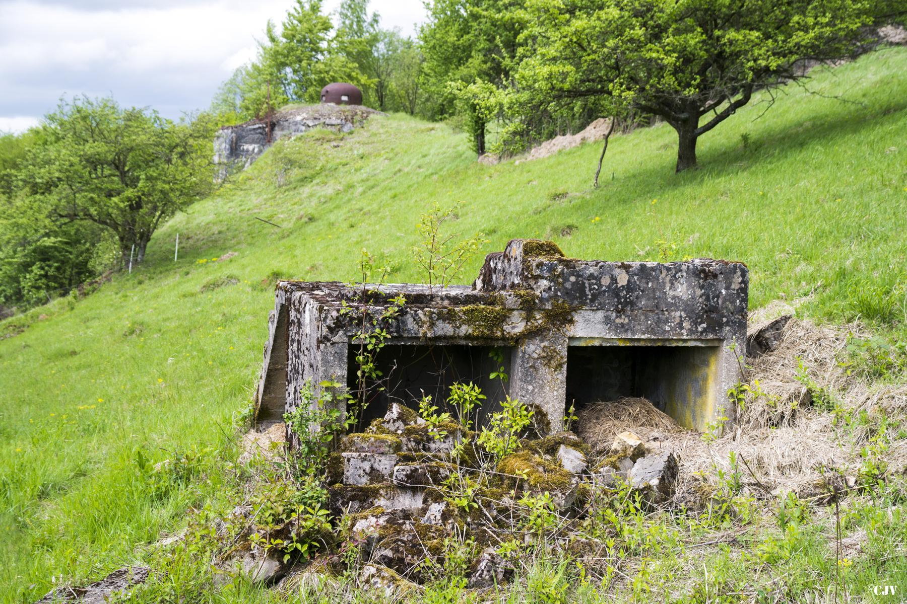 Ligne Maginot - VELOSNES - (Ouvrage d'artillerie) - Vestiges des latrines extérieurs à proximité de l'entrée mixte - Lia VERMEULEN