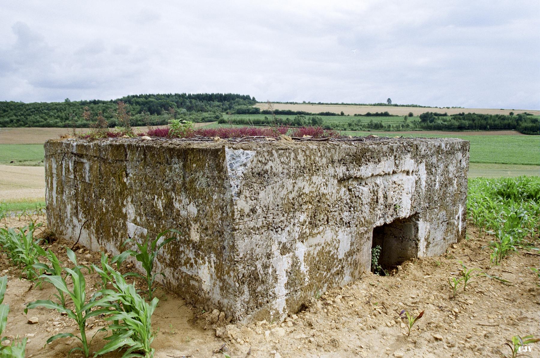 Ligne Maginot - A13 - (Blockhaus pour canon) - L'entrée - Lia VERMEULEN