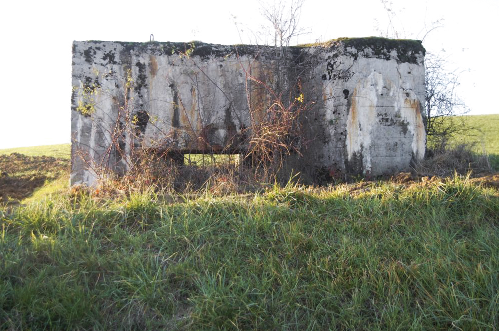 Ligne Maginot - A13 - (Blockhaus pour canon) -  - Christian RICHON-devoitine520