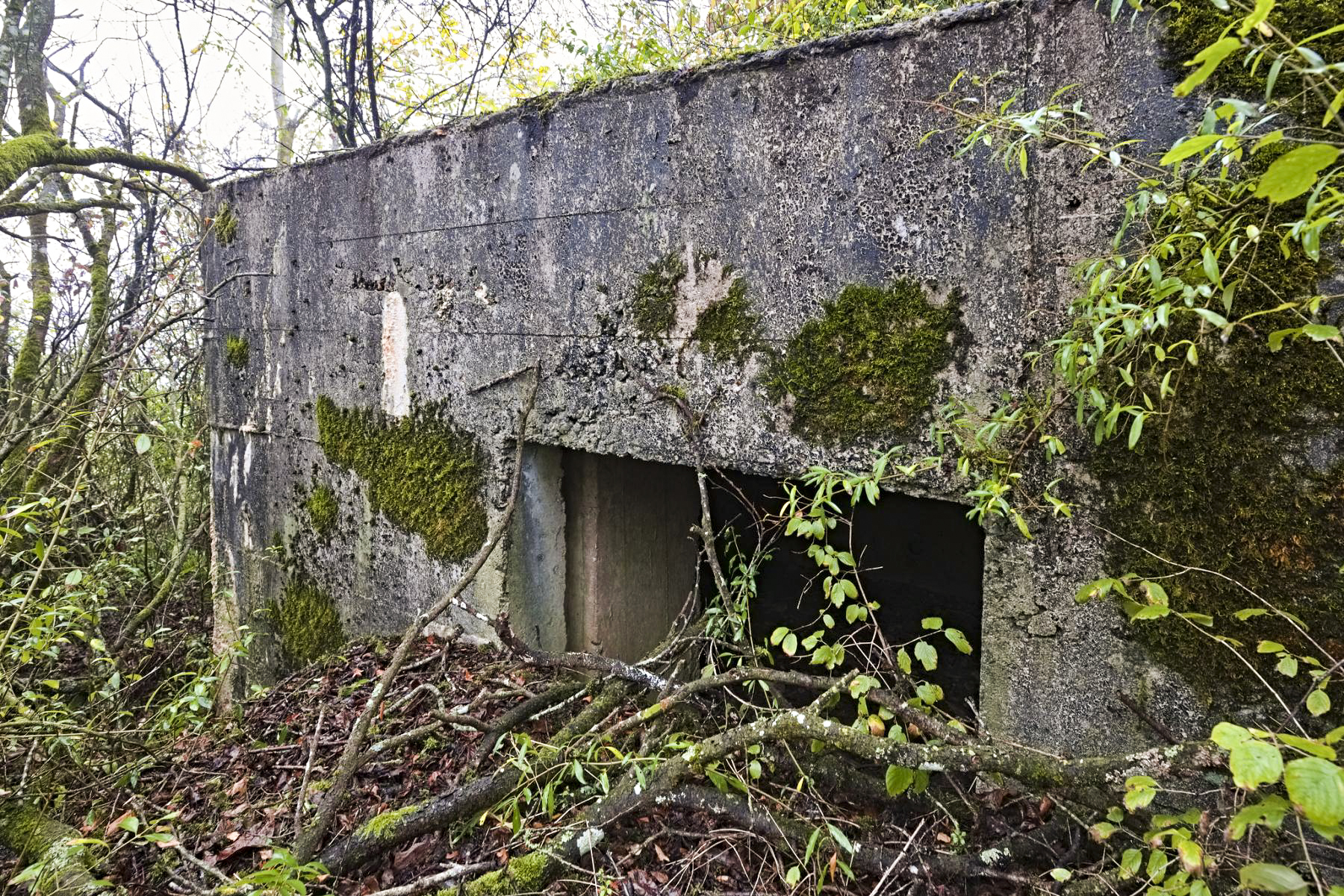 Ligne Maginot - A18 - (Blockhaus pour canon) -  - thierry caland