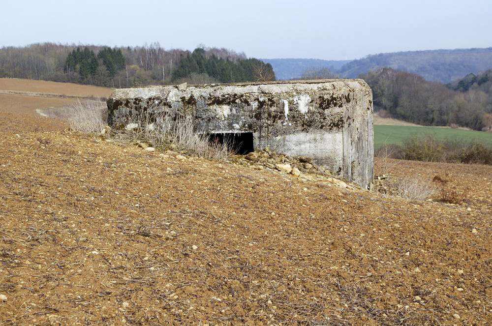 Ligne Maginot - A22 - (Blockhaus pour canon) - En plein champ, sentinelle à son poste - Christian RICHON/devoitine520