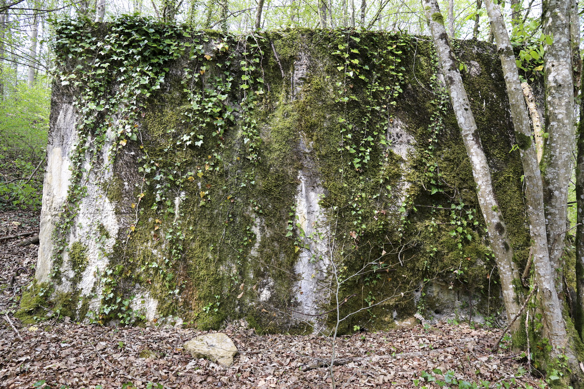 Ligne Maginot - A26 - (Blockhaus pour canon) -  - Alain Perouffe