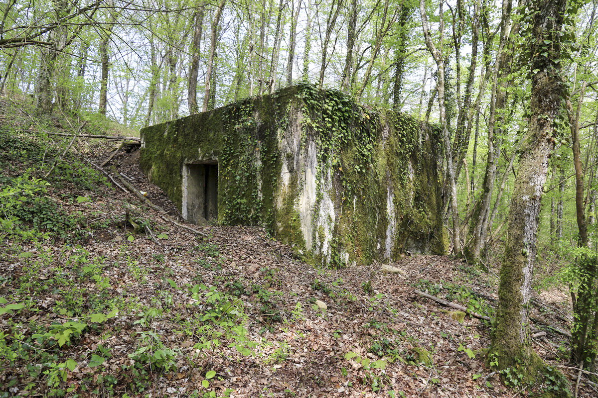 Ligne Maginot - A26 - (Blockhaus pour canon) -  - Alain Perouffe