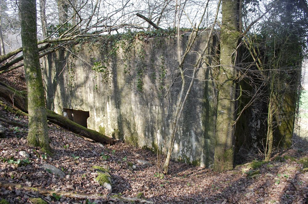 Ligne Maginot - G7 - (Blockhaus lourd type STG / STG-FCR - Simple) - Cet ouvrage, imposant, est construit à flanc de coteau et couvrait de son tir la vallée de la Chiers et la commune de Flabeuville. - Christian RICHON/devoitine520