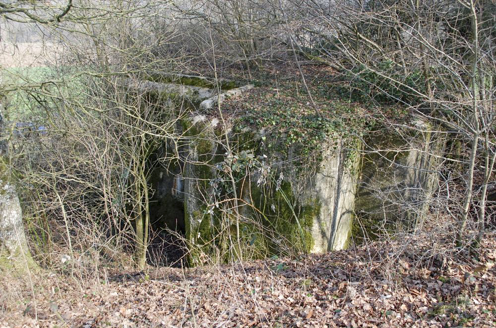 Ligne Maginot - G7 - (Blockhaus lourd type STG / STG-FCR - Simple) - L'entrée - Christian RICHON/devoitine520
