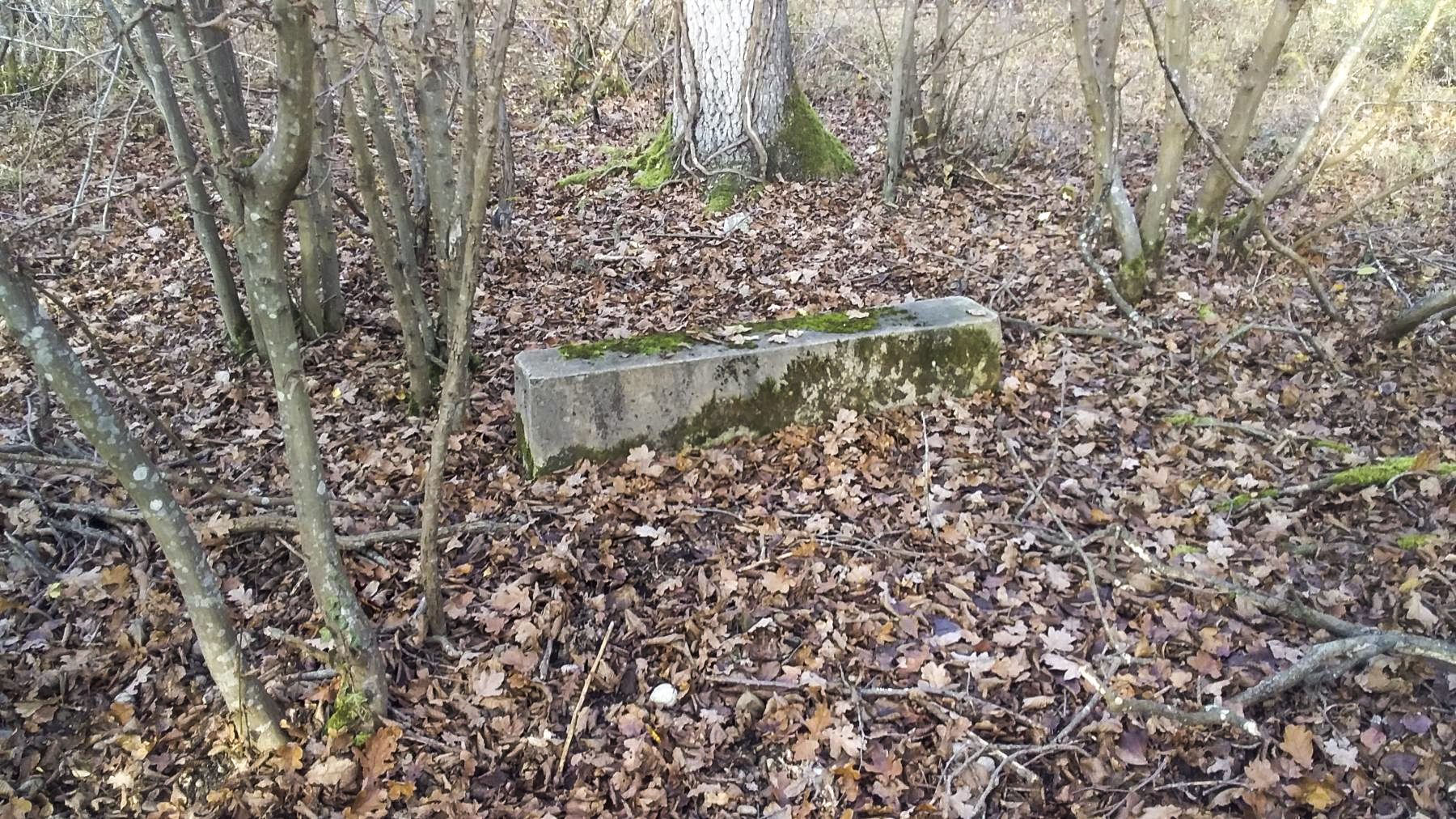 Ligne Maginot - BOIS DE DURRENENTZEN - (Dépôt de Munitions) - Restes de fondations du dépôt de munitions - Joel Muntzinger