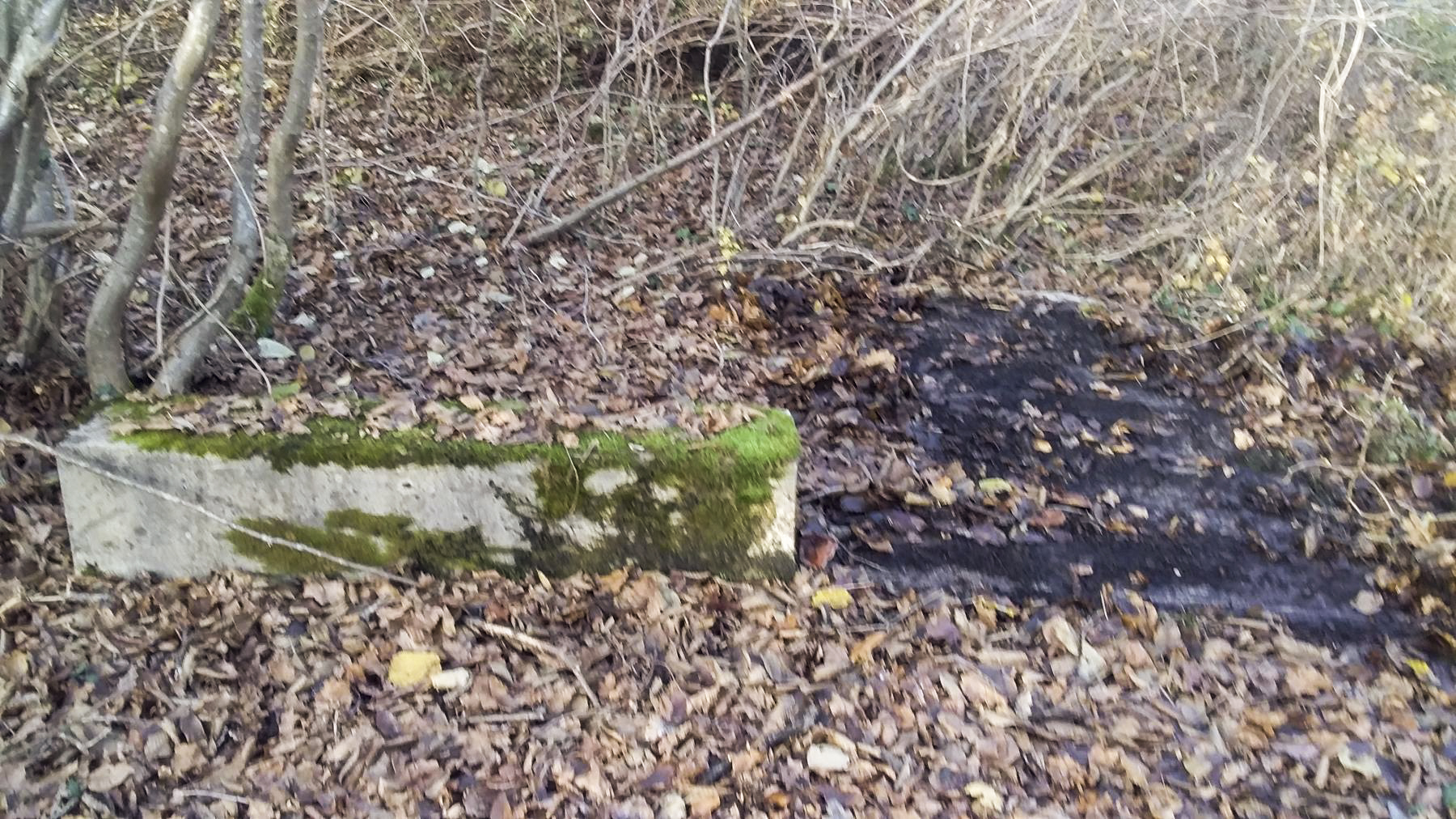 Ligne Maginot - BOIS DE DURRENENTZEN - (Dépôt de Munitions) - Restes de fondations du dépôt de munitions - Joel Muntzinger
