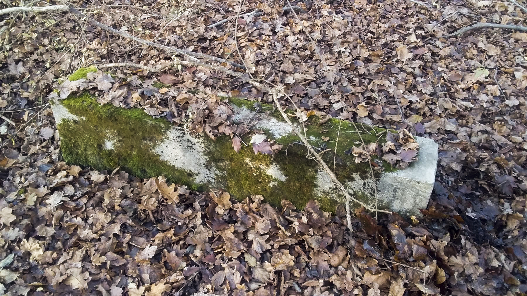 Ligne Maginot - BOIS DE DURRENENTZEN - (Dépôt de Munitions) - Restes de fondations du dépôt de munitions - Joel Muntzinger
