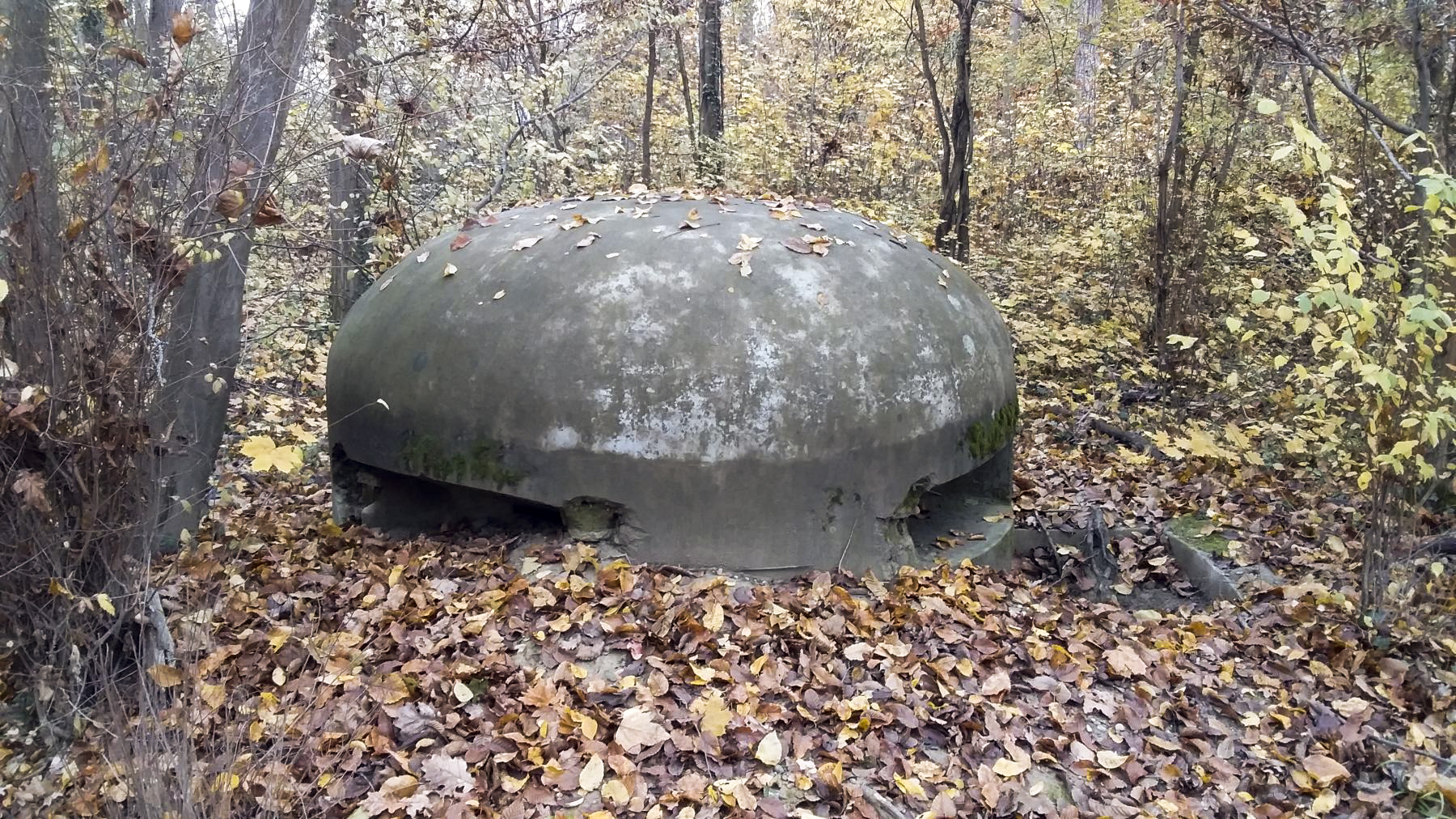 Ligne Maginot - BOIS DE DURRENENTZEN - (Dépôt de Munitions) - La première guérite d'observation en béton - Joel Muntzinger