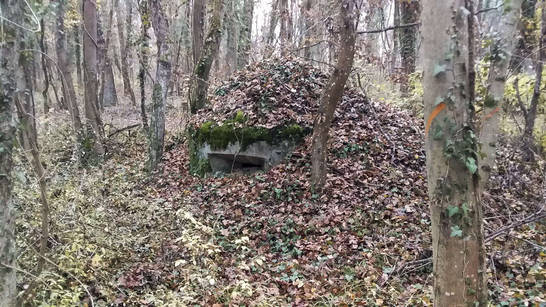 Ligne Maginot - BOIS DE DURRENENTZEN - (Dépôt de Munitions) - La deuxième guérite d'observation en béton - Joel Muntzinger