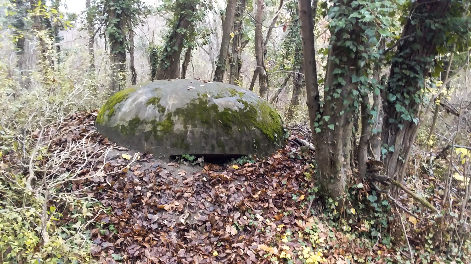 Ligne Maginot - BOIS DE DURRENENTZEN - (Dépôt de Munitions) - La troisième guérite d'observation en béton - Joel Muntzinger