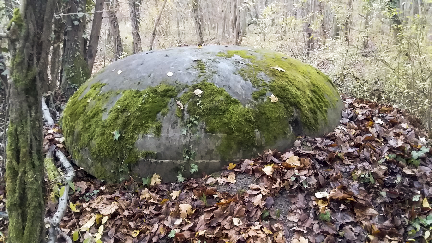 Ligne Maginot - BOIS DE DURRENENTZEN - (Dépôt de Munitions) - La troisième guérite d'observation en béton - Joel Muntzinger