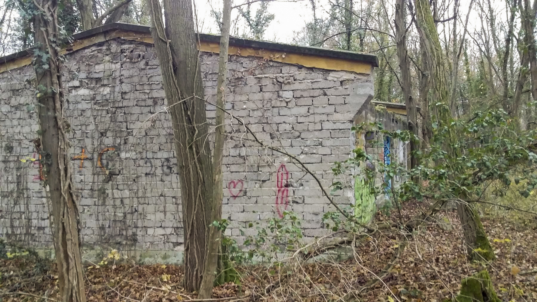 Ligne Maginot - BOIS DE DURRENENTZEN - (Dépôt de Munitions) - Batiment n°1
Cuisine ou buanderie selon témoignage d'un habitant de la commune  - Joel Muntzinger