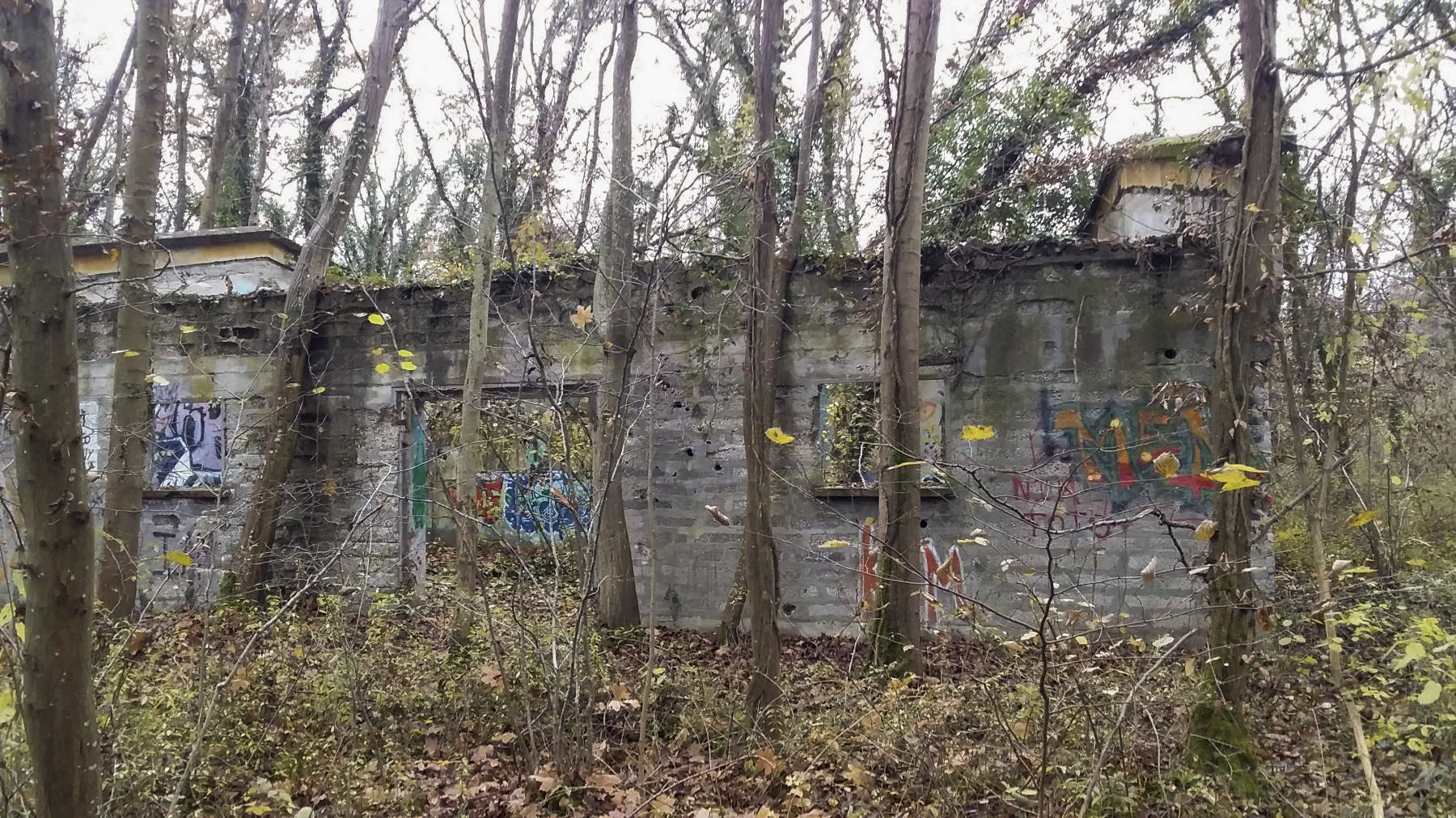 Ligne Maginot - BOIS DE DURRENENTZEN - (Dépôt de Munitions) - Batiment n°2
Buanderie ou cuisine selon témoignage d'un habitant de la commune  - Joel Muntzinger