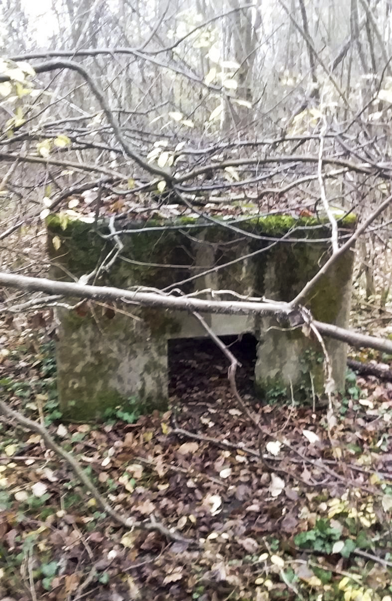 Ligne Maginot - BOIS DE DURRENENTZEN - (Dépôt de Munitions) - Incinérateur  - Joel Muntzinger
