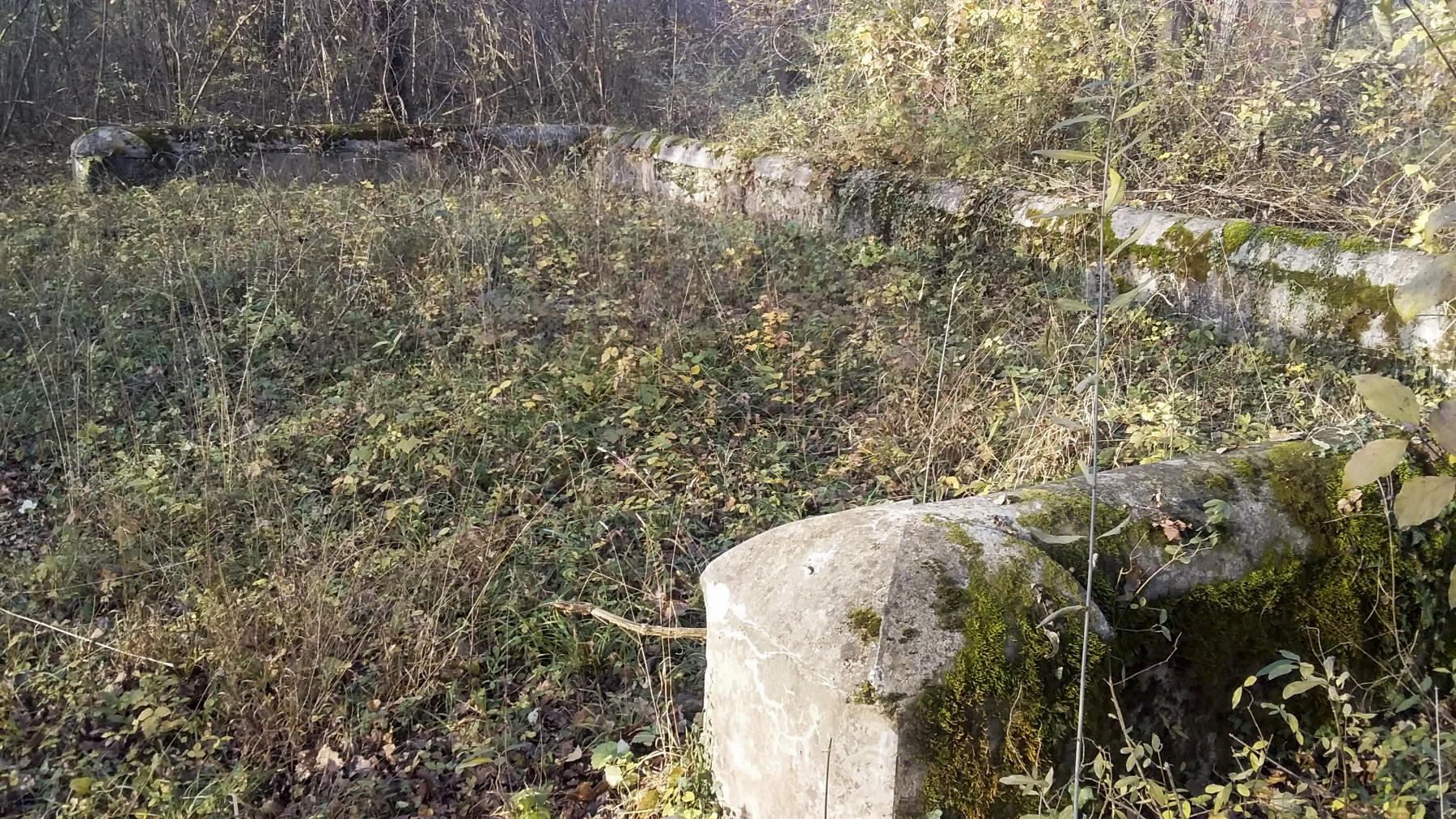 Ligne Maginot - BOIS DE DURRENENTZEN - (Dépôt de Munitions) -  - Joel Muntzinger