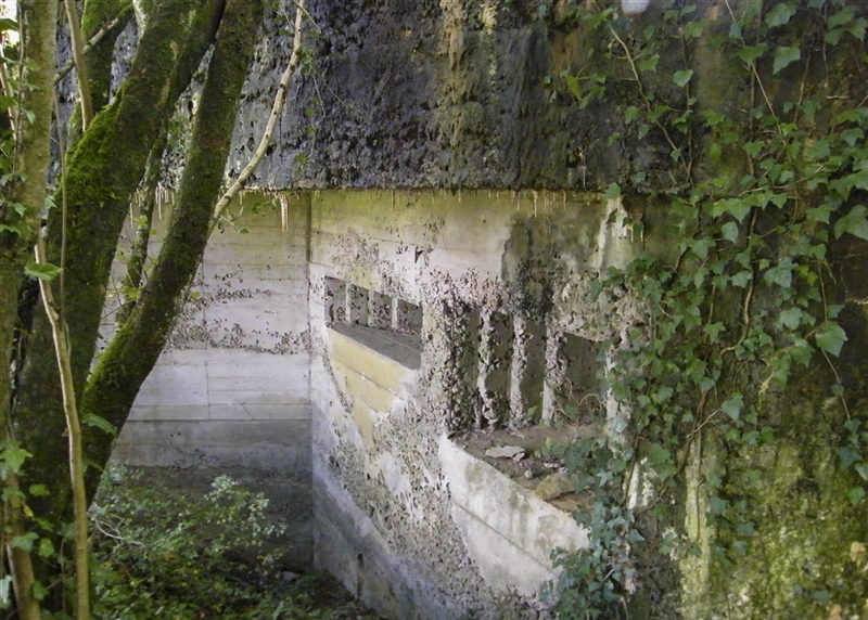 Ligne Maginot - G10 - (Blockhaus lourd type STG / STG-FCR - Simple) -  - Jean-Louis AUBLET & Sylvie MAINGUIN