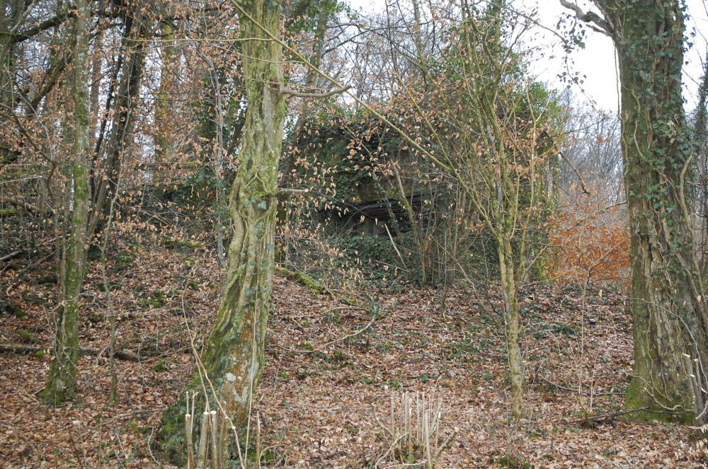 Ligne Maginot - G20 - (Blockhaus lourd type STG / STG-FCR - Simple) - l'ouvrage depuis la route en contrebas... Le dégel de ce mois de février rend l'aller jusqu'à louvrage des plus difficiles...  - Christian RICHON/devoitine520