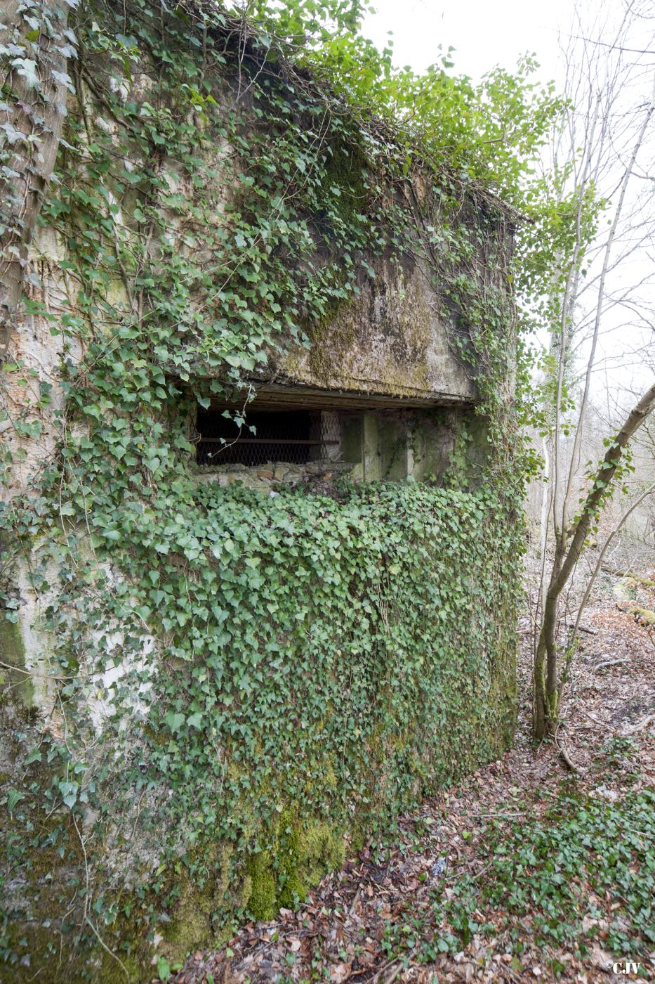 Ligne Maginot - G20 - (Blockhaus lourd type STG / STG-FCR - Simple) - Le creneau frontal - Lia VERMEULEN