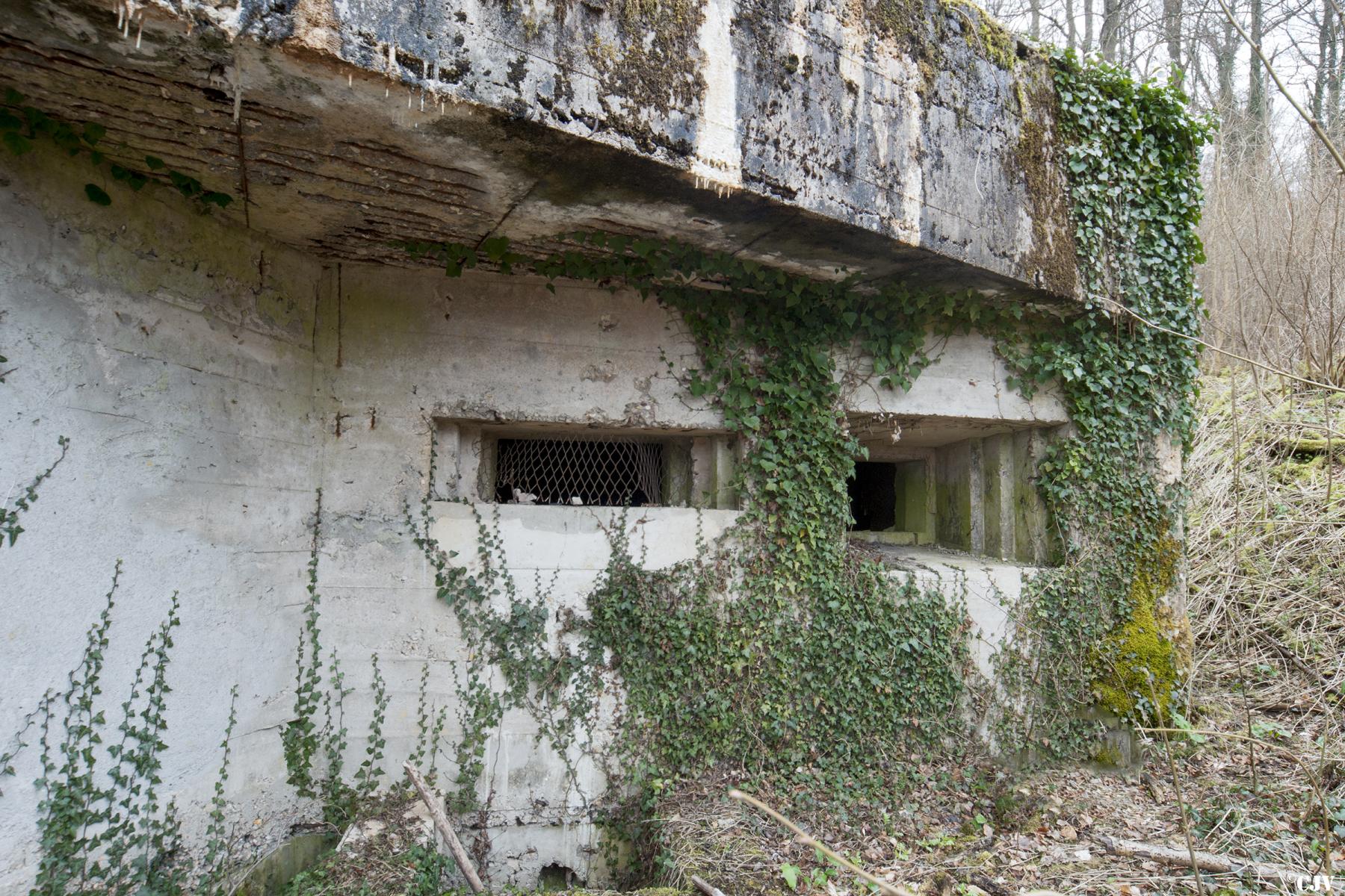 Ligne Maginot - G20 - (Blockhaus lourd type STG / STG-FCR - Simple) - Les créneaux - Lia VERMEULEN