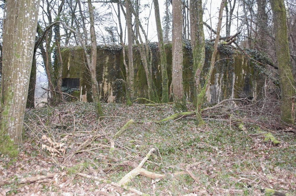 Ligne Maginot - G21 - (Blockhaus lourd type STG / STG-FCR - Simple) - Vue du créneau d'observation frontal de l'extérieur. - Christian RICHON/devoitine520