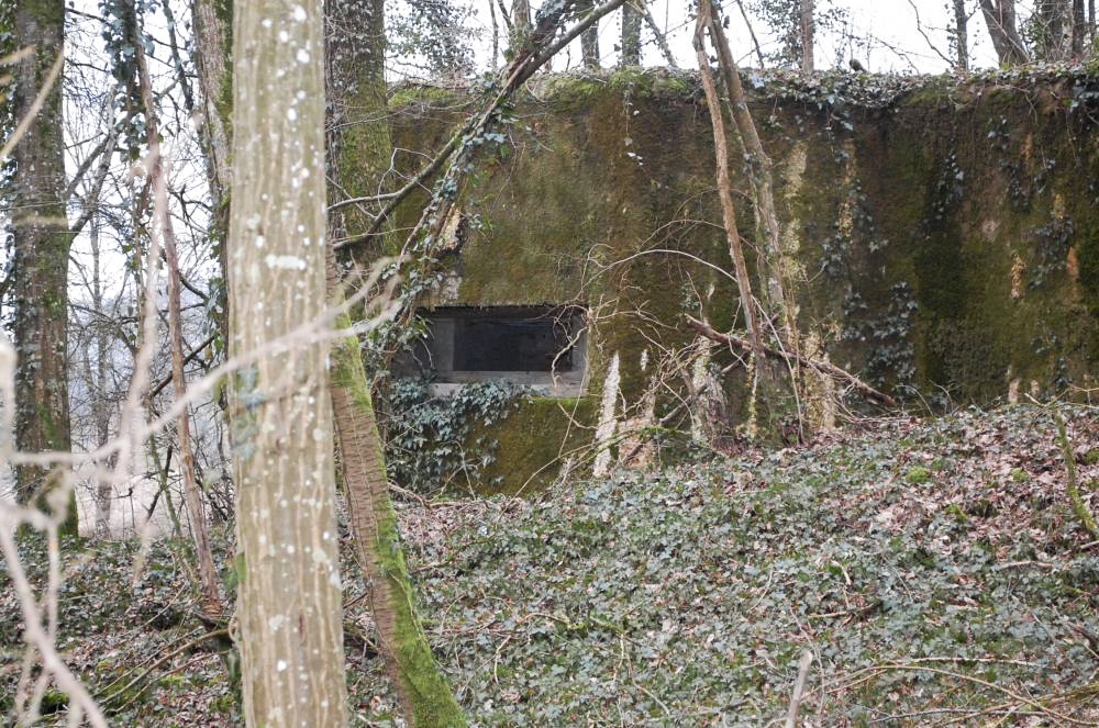 Ligne Maginot - G21 - (Blockhaus lourd type STG / STG-FCR - Simple) - Vue du créneau d'observation frontal de l'extérieur. - Christian RICHON/devoitine520
