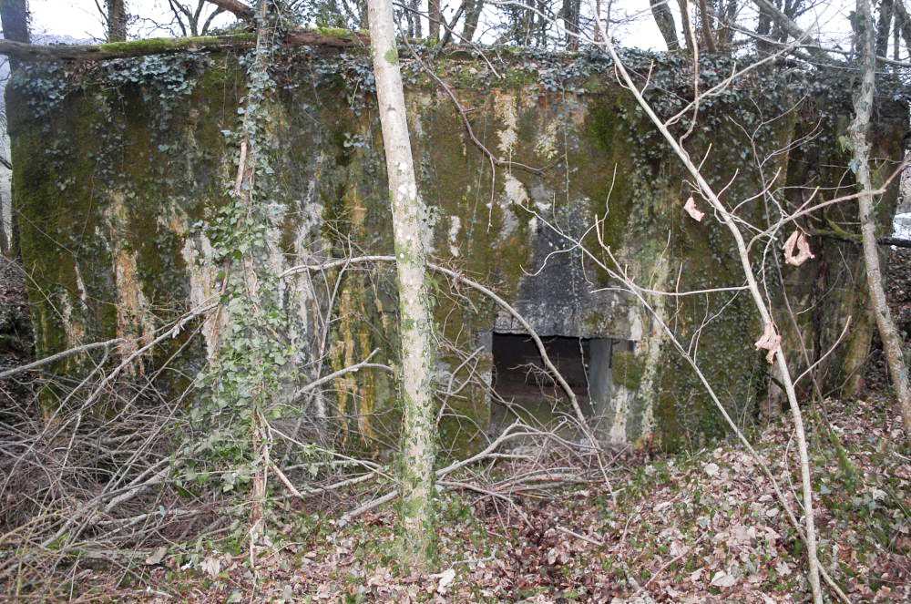 Ligne Maginot - G21 - (Blockhaus lourd type STG / STG-FCR - Simple) - L'ouvrage vu de l'arrière, l'entrée est située au centre mi-enterrée. - Christian RICHON/devoitine520