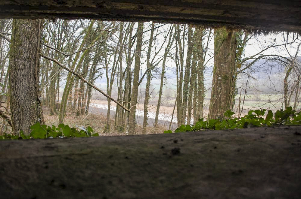 Ligne Maginot - G21 - (Blockhaus lourd type STG / STG-FCR - Simple) - Un regard par le créneau d'observation frontal  - Christian RICHON/devoitine520