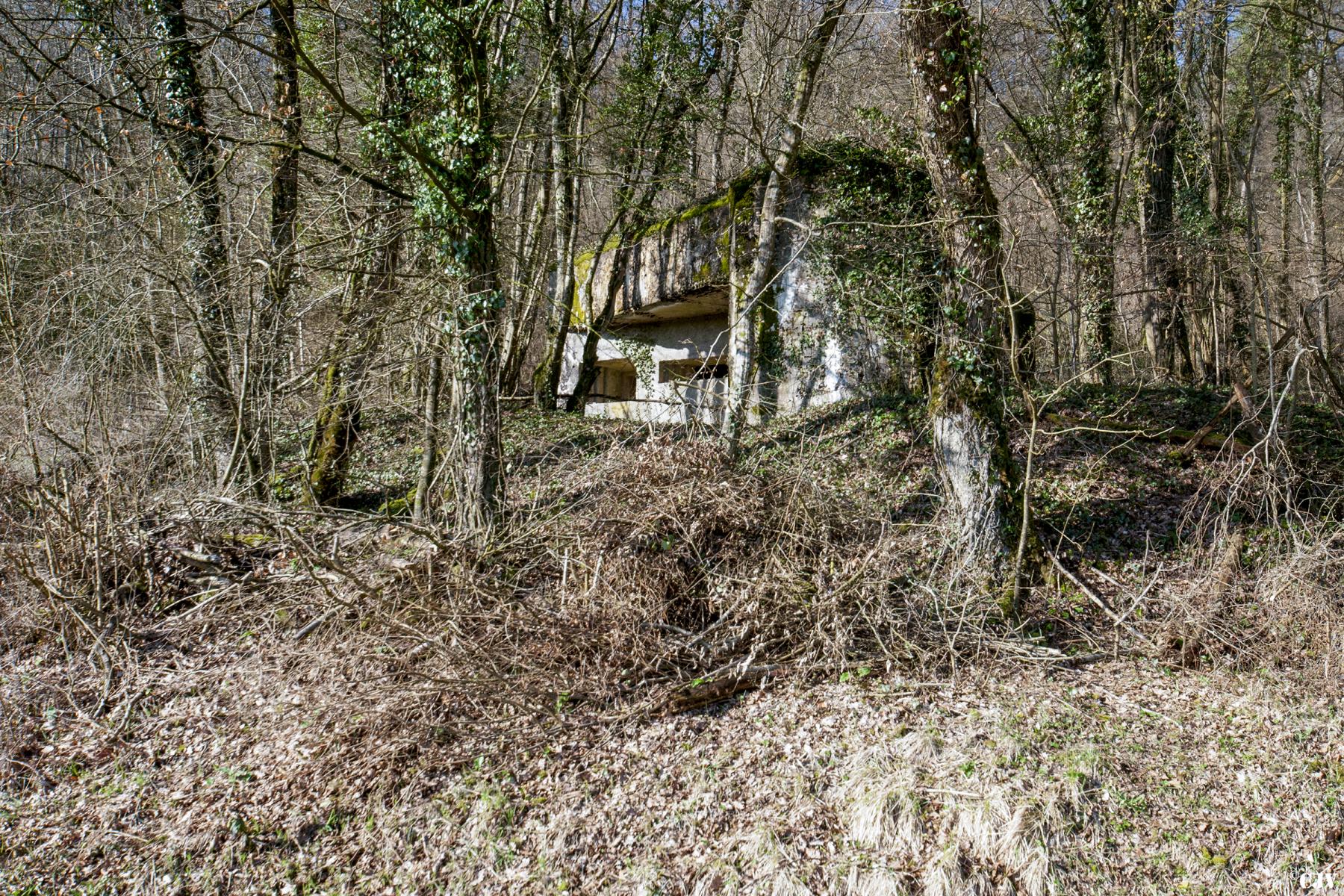 Ligne Maginot - G21 - (Blockhaus lourd type STG / STG-FCR - Simple) - Le blockhaus - Lia VERMEULEN