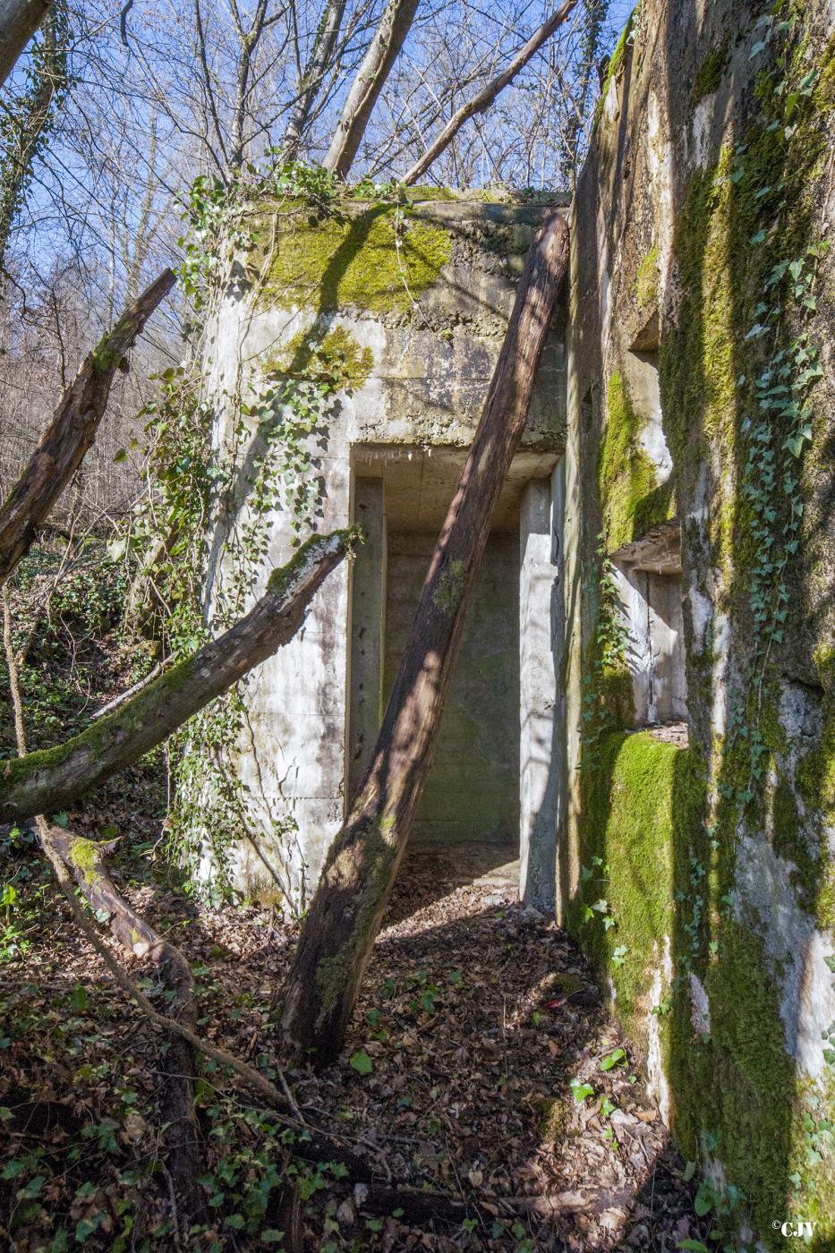 Ligne Maginot - G21 - (Blockhaus lourd type STG / STG-FCR - Simple) - L'entrée - Lia VERMEULEN