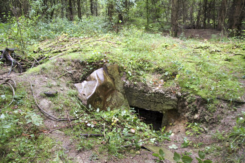 Ligne Maginot - HAUT DE CROTTE - (PC) -  - Alain Perouffe