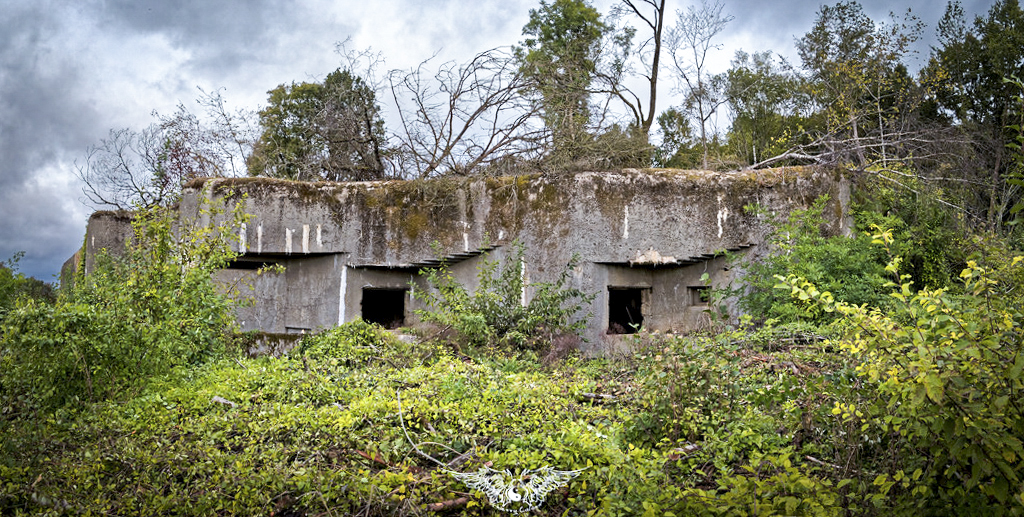 Ligne Maginot - LA HIGNY - (Casemate d'artillerie) -  - Thierry Caland