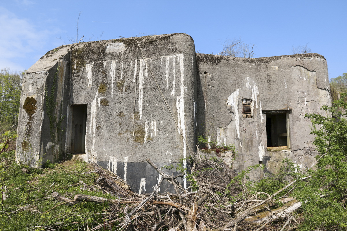 Ligne Maginot - LA HIGNY - (Casemate d'artillerie) - Les entrées - Alain Perouffe
