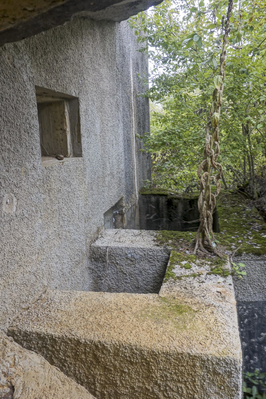 Ligne Maginot - LA HIGNY - (Casemate d'artillerie) - Vue des fossés diamant depuis l'un des deux créneaux de 75 - Michel Teiten