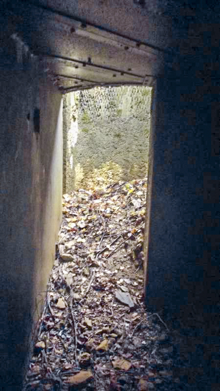 Ligne Maginot - LA HIGNY - (Casemate d'artillerie) - Puits de la cloche GFM non installée - David HARMAND