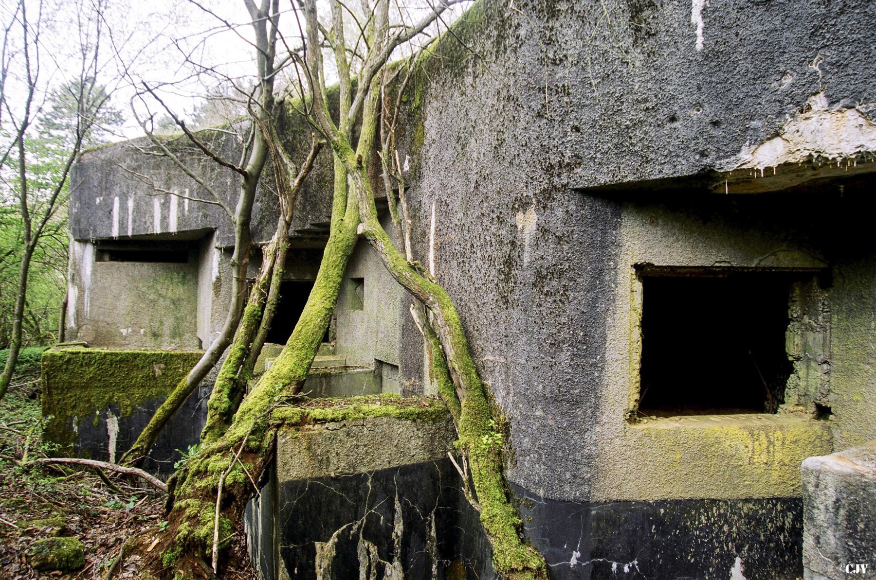 Ligne Maginot - LA HIGNY - (Casemate d'artillerie) - Les embrasures pour canon de 75 mm - Lia VERMEULEN