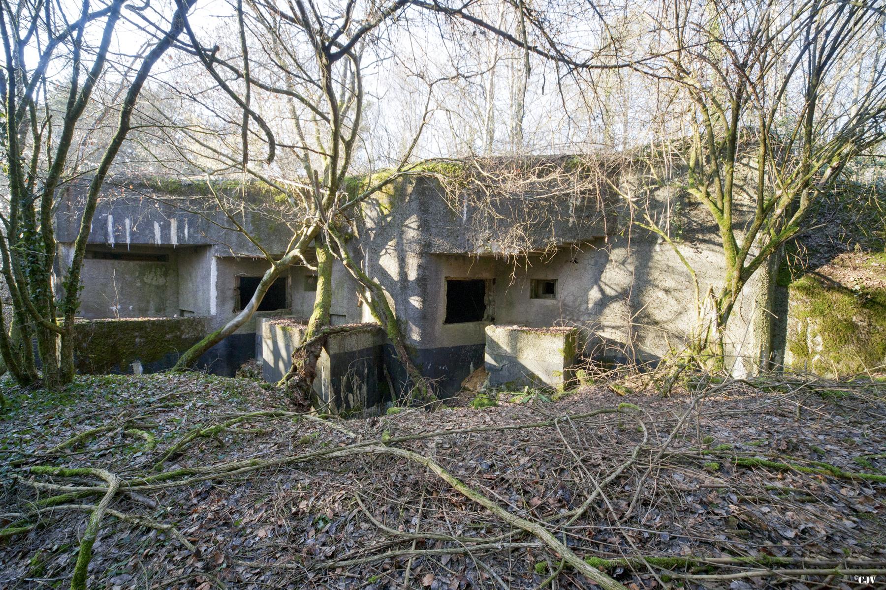 Ligne Maginot - LA HIGNY - (Casemate d'artillerie) -  - Lia VERMEULEN