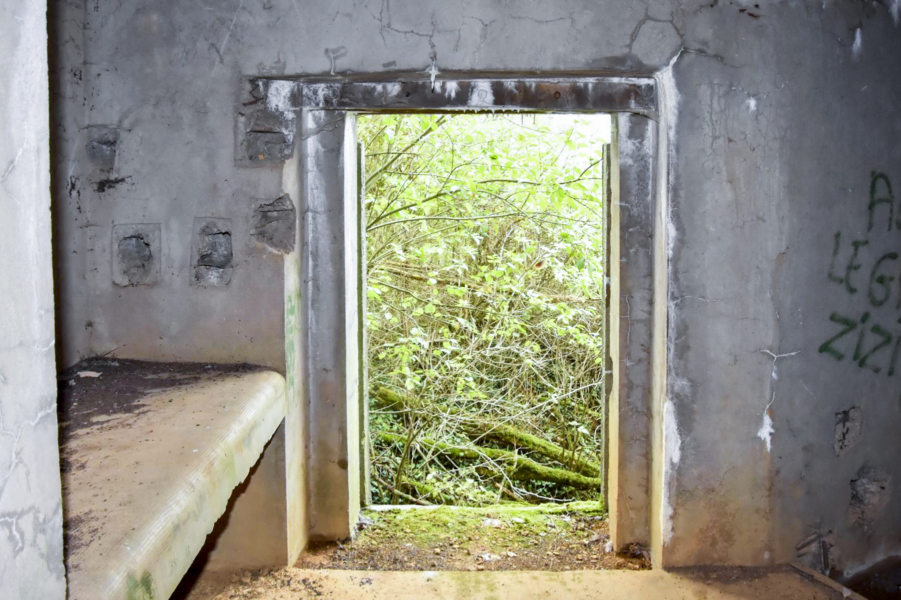 Ligne Maginot - LA HIGNY - (Casemate d'artillerie) - Entrée Matériel - D.Froehly