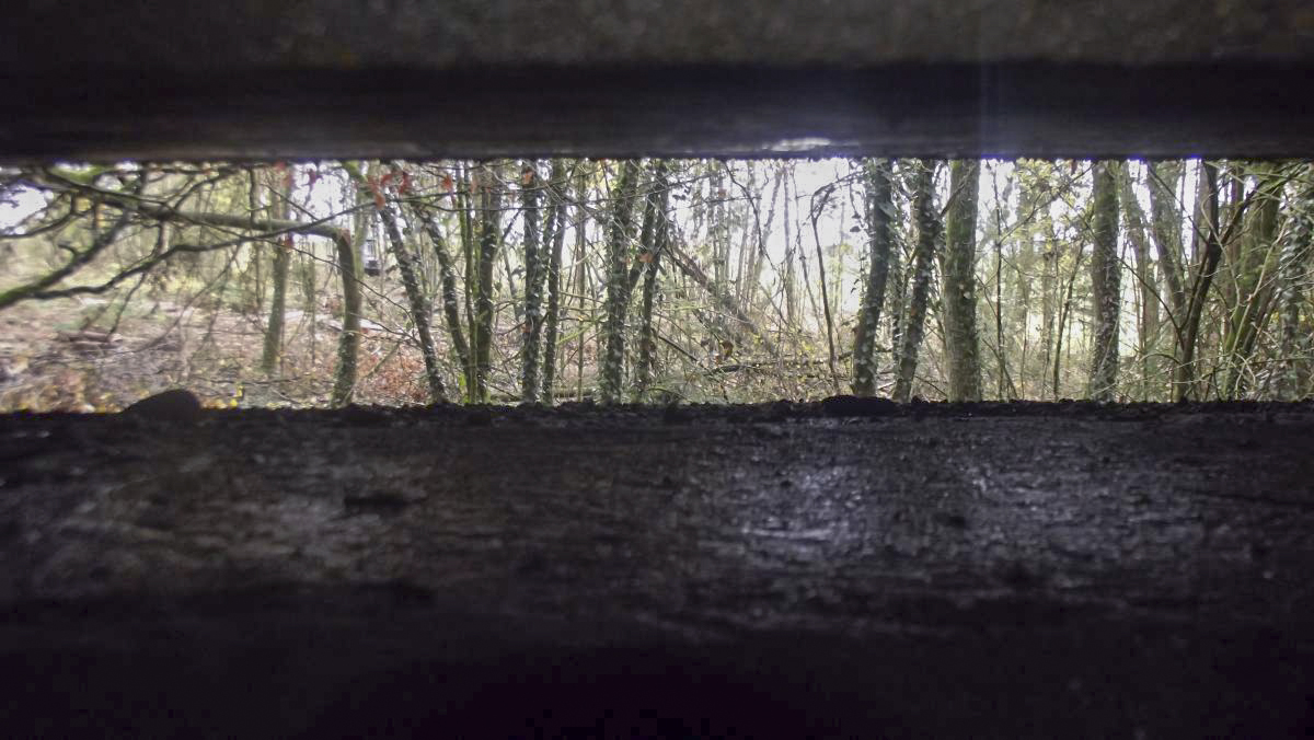 Ligne Maginot - LA HIGNY - (Casemate d'artillerie) - Créneau observatoire - David HARMAND