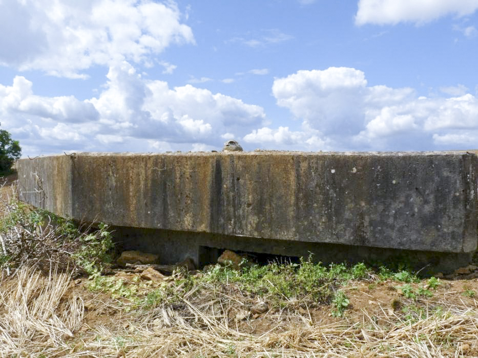 Ligne Maginot - MB33 - (Blockhaus pour arme infanterie) -  - Sylvie Laure LAMBERT