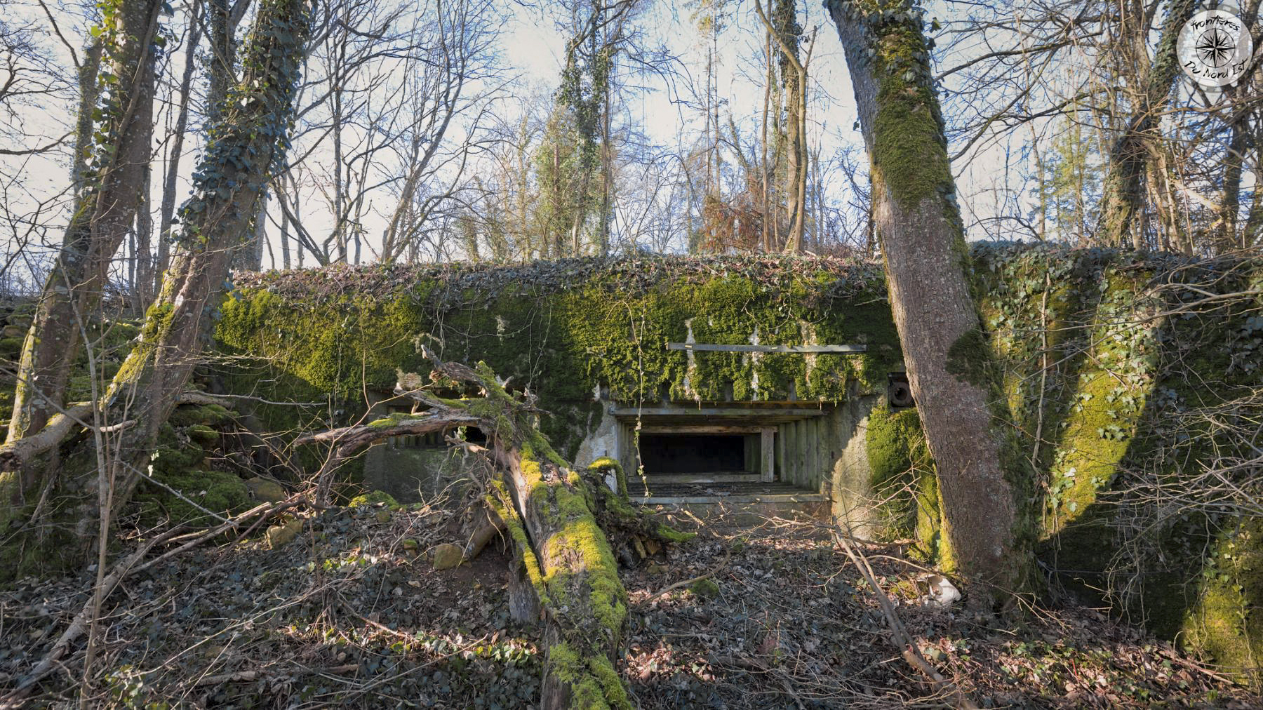 Ligne Maginot - BOIS DE PARLEZ - (Blockhaus pour canon) -  - Thierry Caland