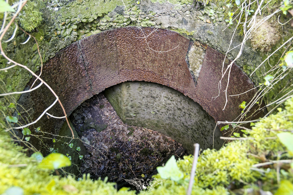 Ligne Maginot - MT4 - (Cuve pour arme d'infanterie) -  - Thierry Caland