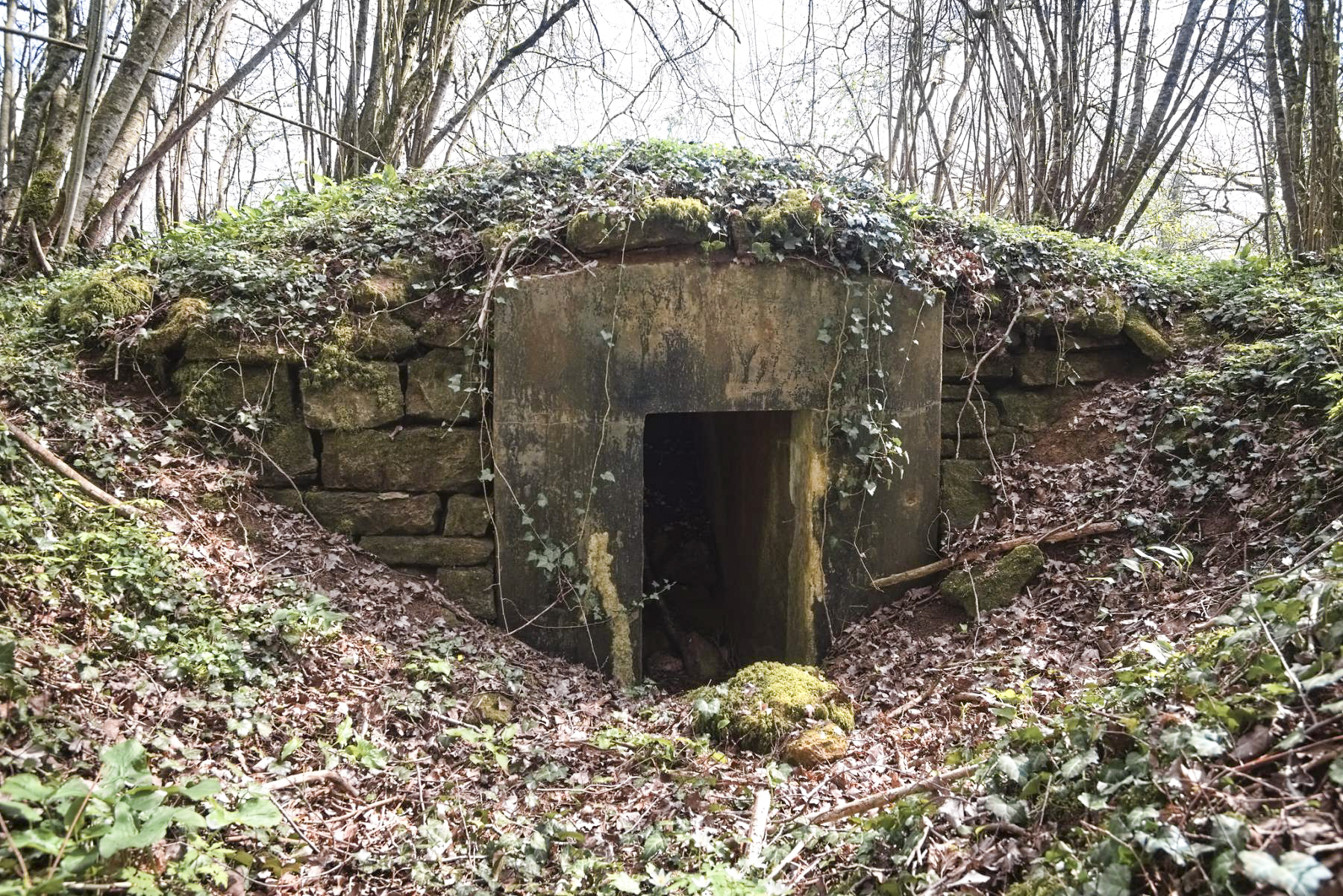 Ligne Maginot - MT8 - (Cuve pour arme d'infanterie) -  - Thierry Caland