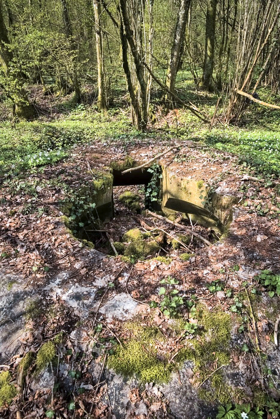 Ligne Maginot - MT8 - (Cuve pour arme d'infanterie) -  - Thierry Caland