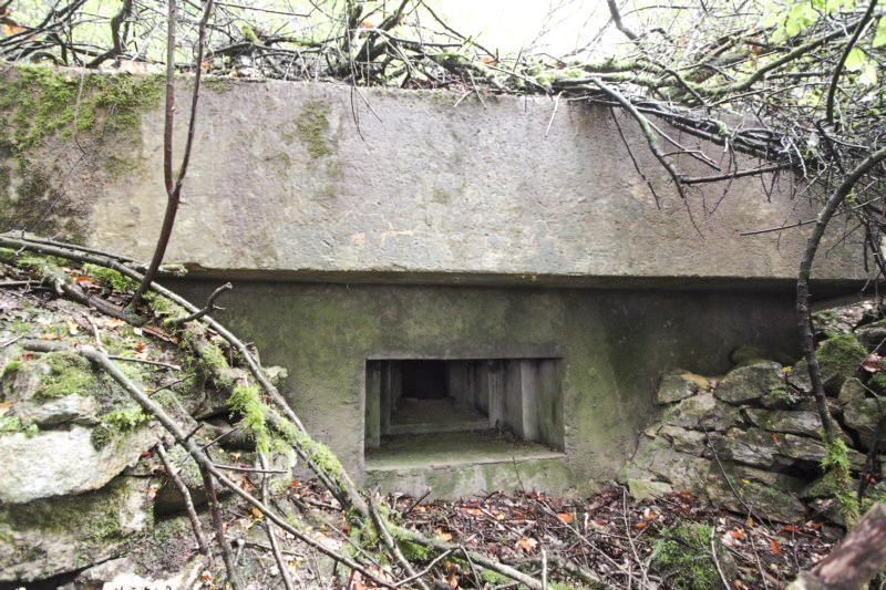 Ligne Maginot - MB12 - (Blockhaus pour arme infanterie) -  - Alain Perouffe