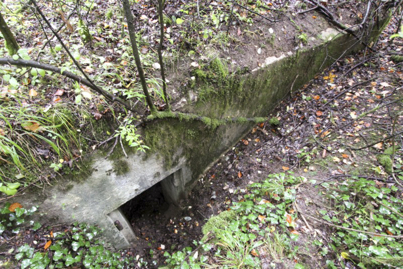 Ligne Maginot - MB12 - (Blockhaus pour arme infanterie) -  - Alain Perouffe