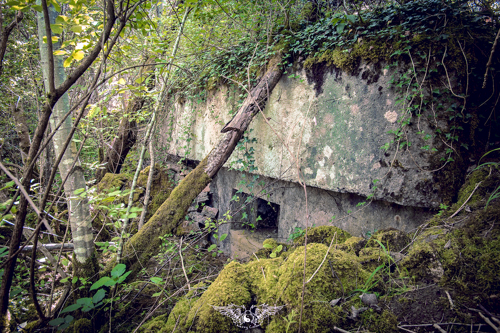 Ligne Maginot - MB13 - (Blockhaus pour arme infanterie) -  - Thierry Caland