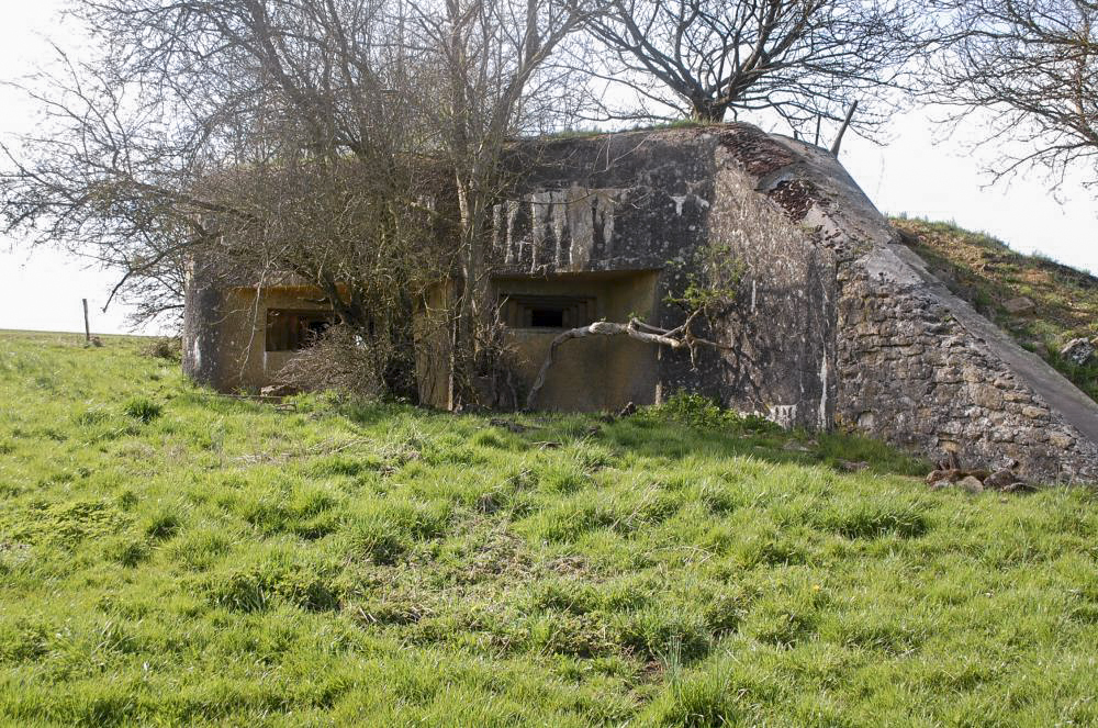 Ligne Maginot - MB14 - (Blockhaus pour canon) - Situé en plein champ au bas de la commune de Petit Xivry l'ouvrage est entouré d'une nature envahissante. - Christian RICHON/devoitine520